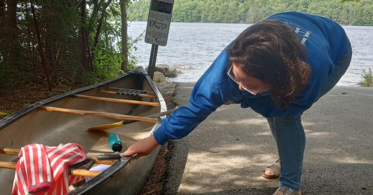Invasive species threaten NH rivers, ponds and lakes | Environment ...