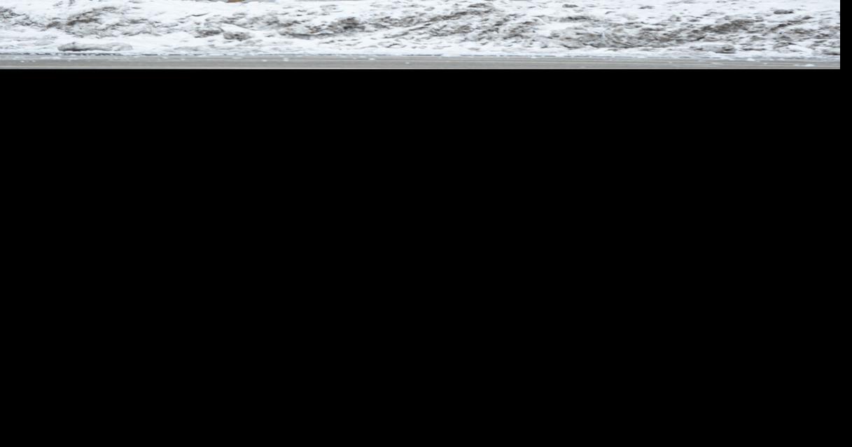 Red Oak apartment building Home