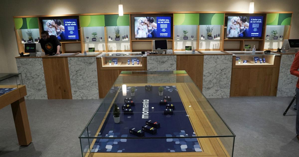 Pot firms rally after US reclassifies marijuana as less dangerous drug