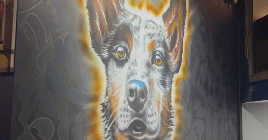The Grey Dog