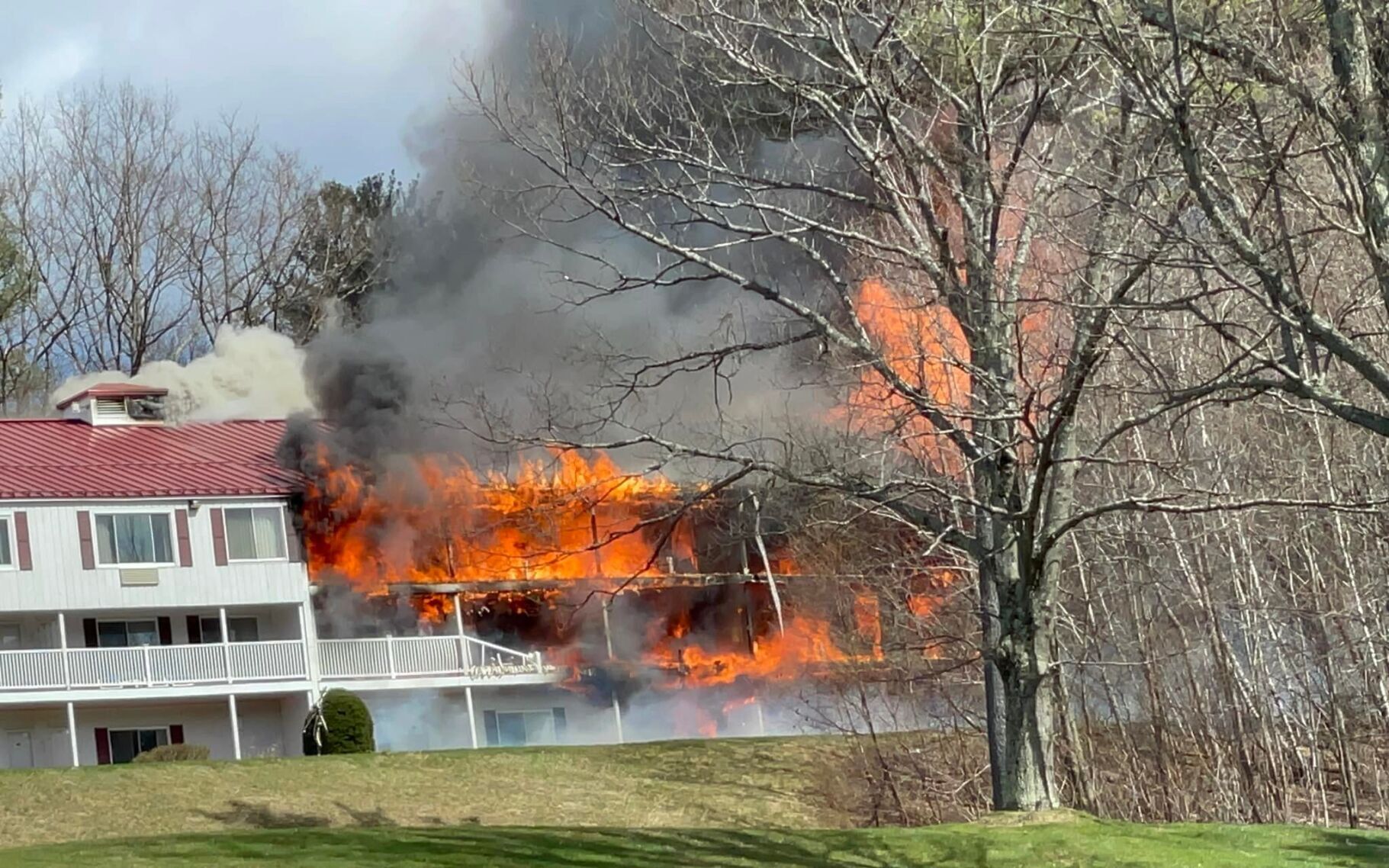 red jacket in. north conway