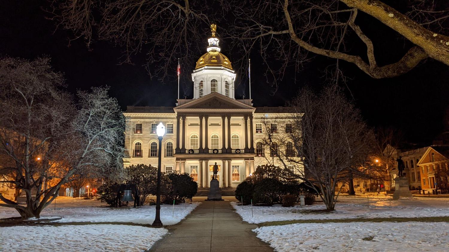 State House Dome: Stefany Shaheen targeted by Dean Kamen deepfake