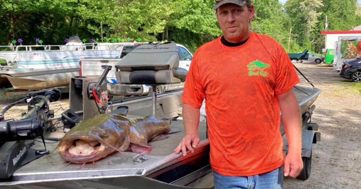 It's a whopper of a job to verify whether that whopper of a fish set a ...