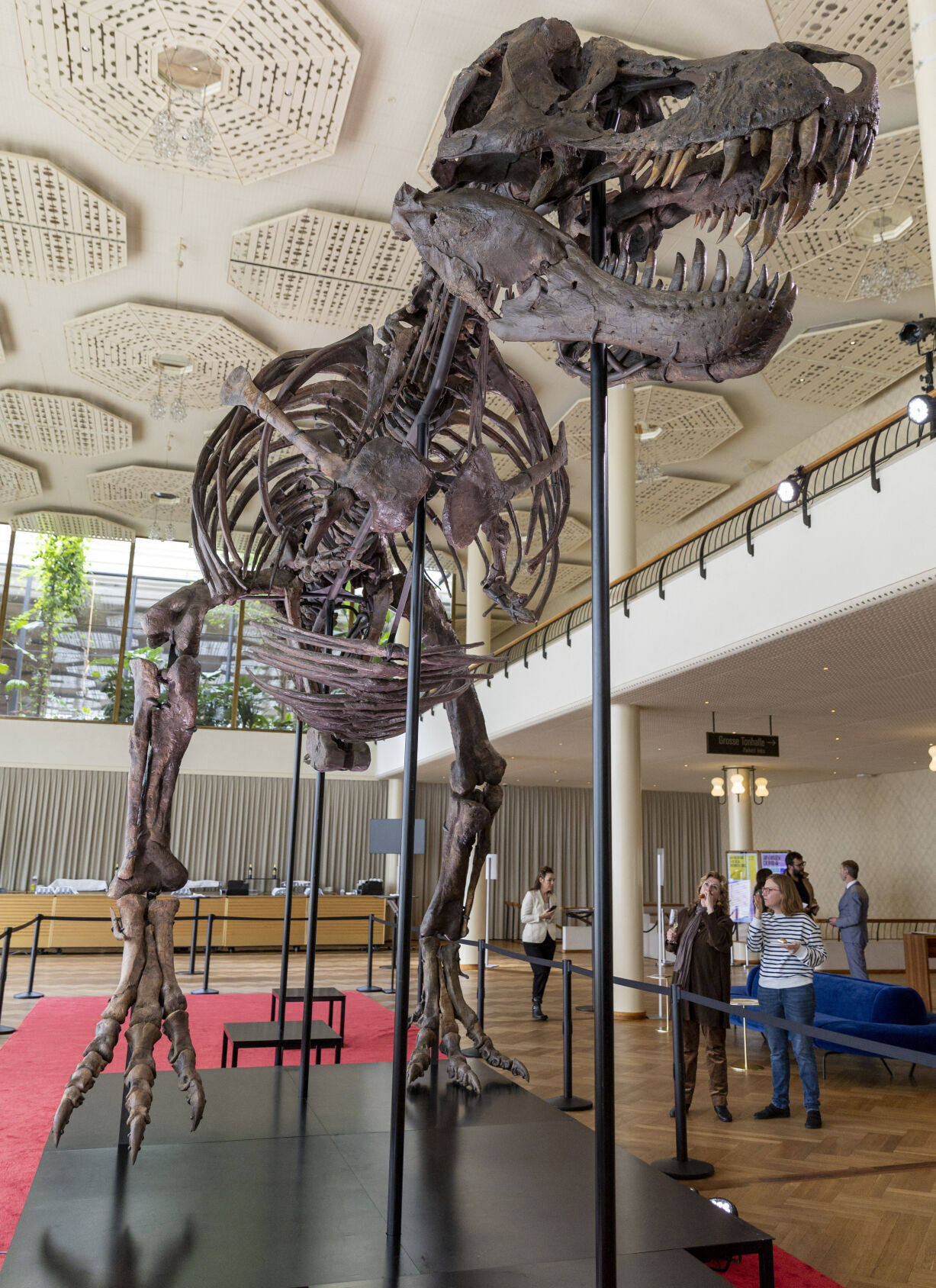 T-Rex Skeleton Sells For More Than $6 Mln At Swiss Auction | Back Page ...