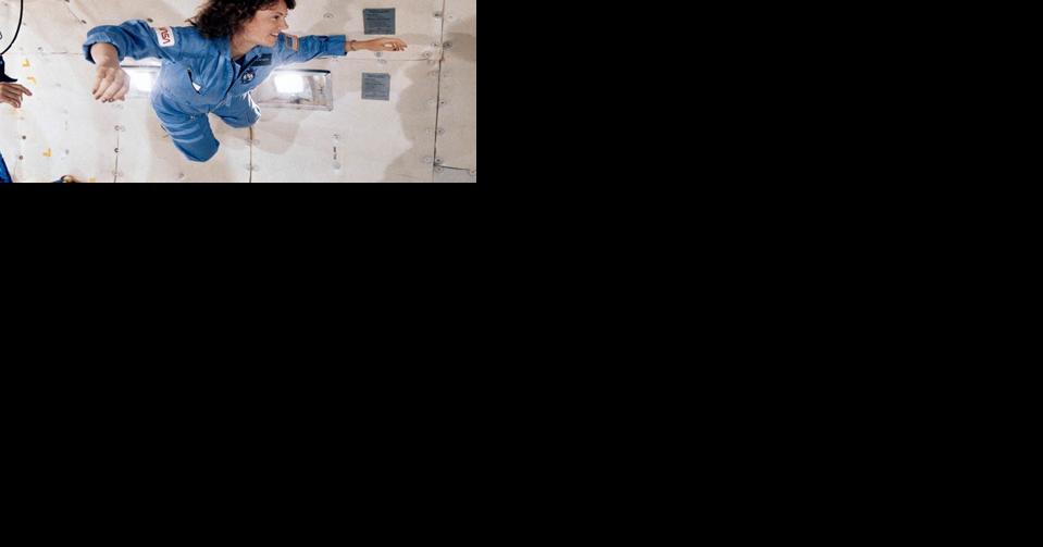 Artist commissioned to design Christa McAuliffe memorial - Vimarsana News
