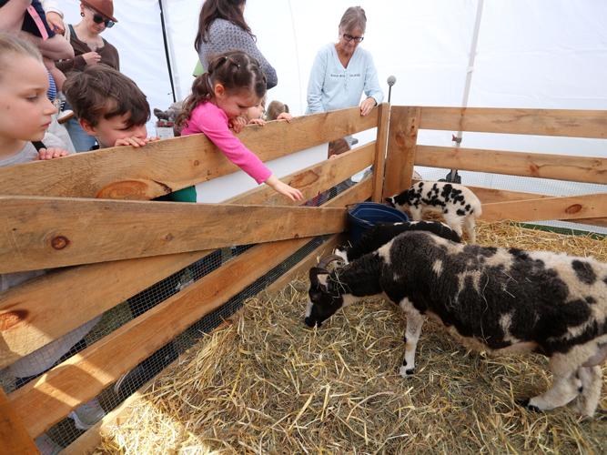 Springfest: A celebration of gardens and baby animals at Strawbery Banke in Portsmouth