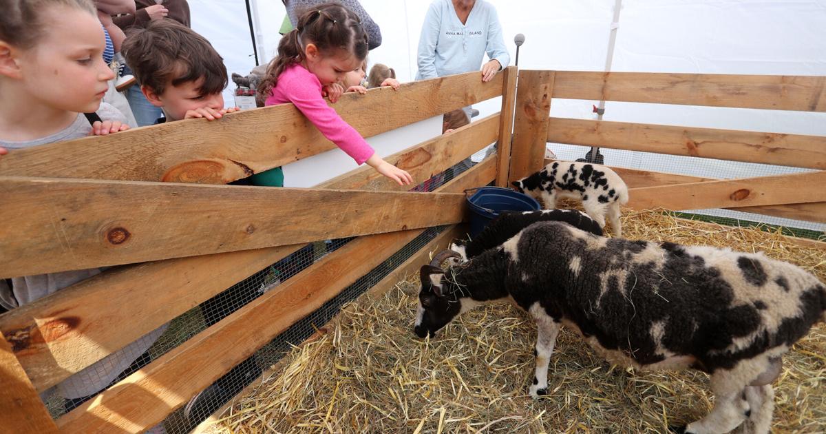 Springfest: A celebration of gardens and baby animals at Strawbery Banke in Portsmouth