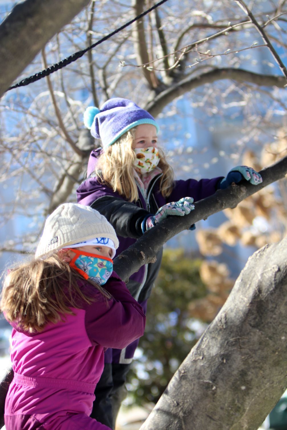 210131-news-winterfest-07