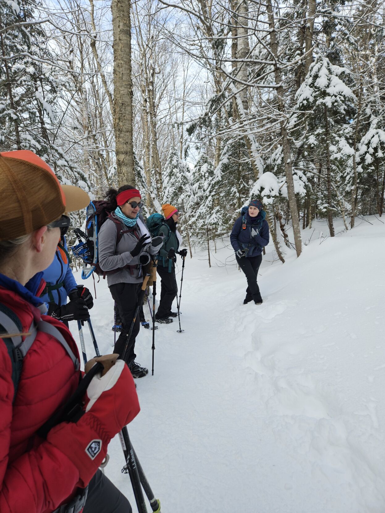 Winter Hiking Guide: Prepping for Chilly Adventures - Southern Appalachian  Highlands Conservancy
