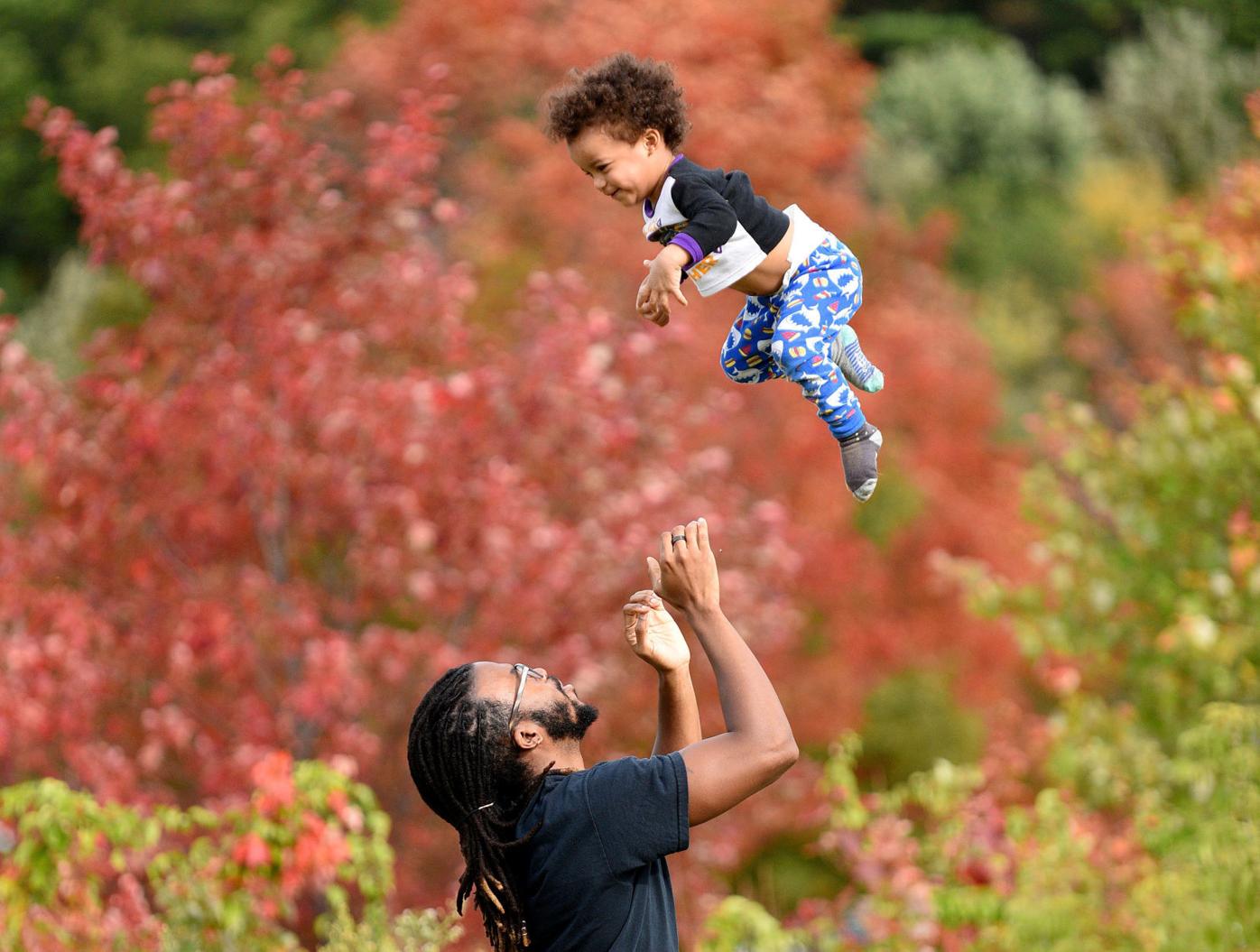2019 Pictures Of The Year Photo Galleries Unionleader Com