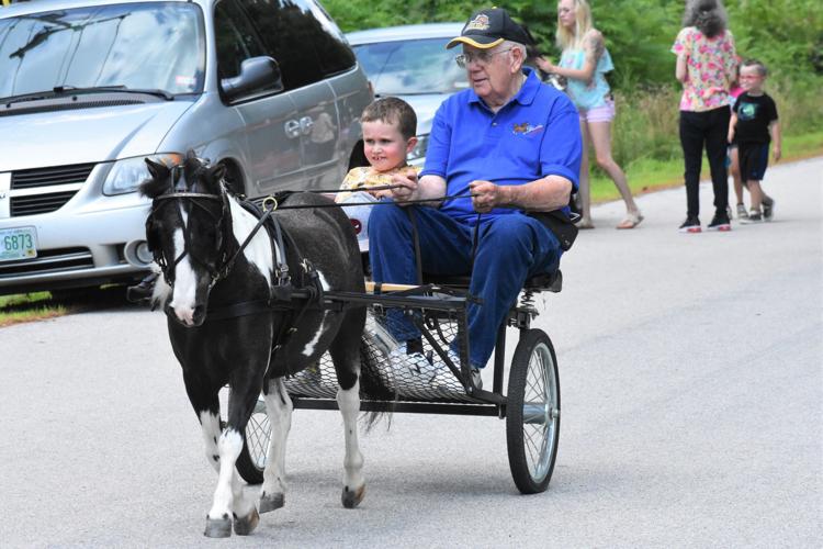 Farm shows off miniature horses at 'open barn' Animals