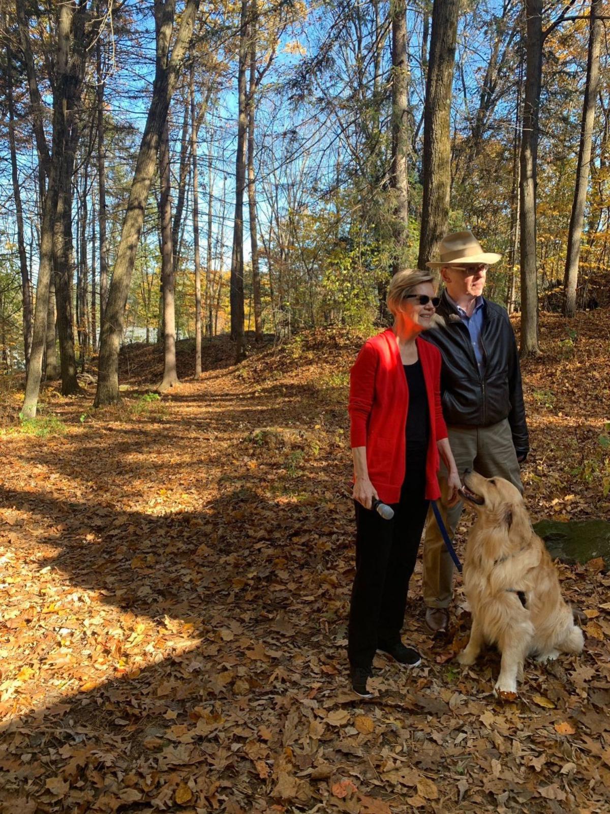 A Menagerie Of Political Pets Voters First Unionleader Com