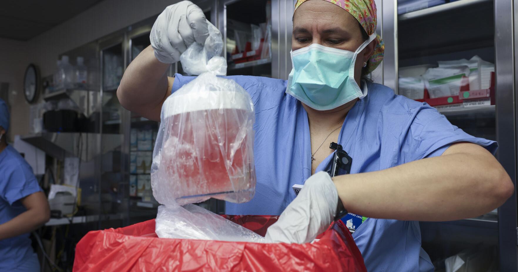 62-year-old receives gene-edited pig kidney in milestone transplant surgery - Vimarsana News
