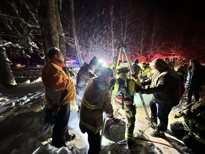 Dog rescue in Kingston