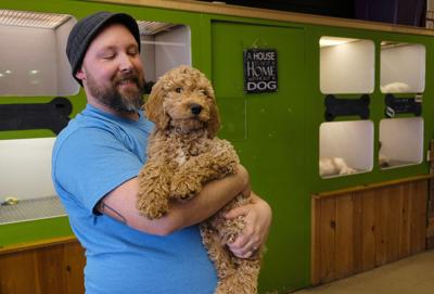 Nh Debates Whether To Ban Retail Pet Sales Animals Unionleader Com