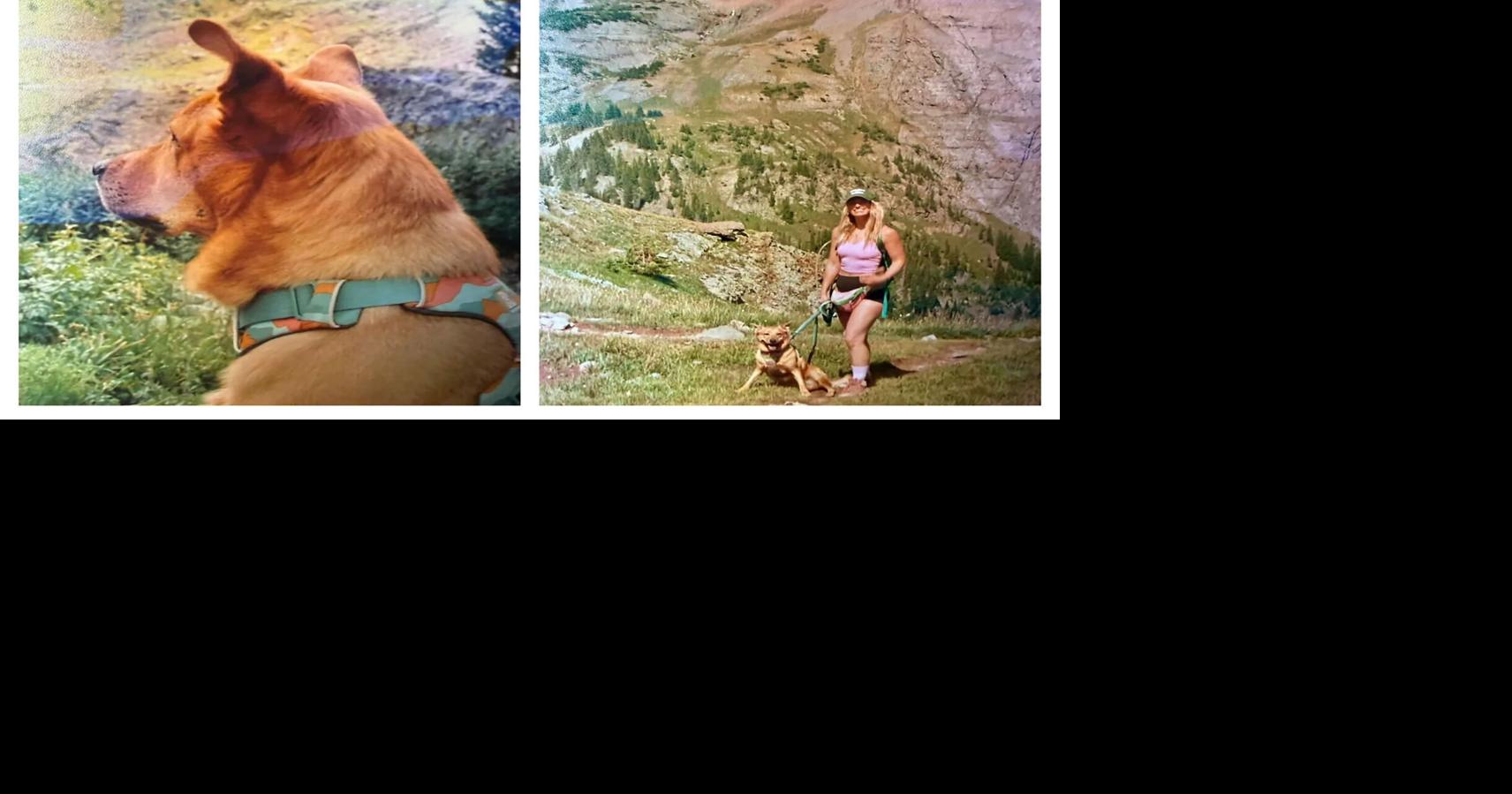 She thought her vacation photos were gone for good. Then a stranger found her film