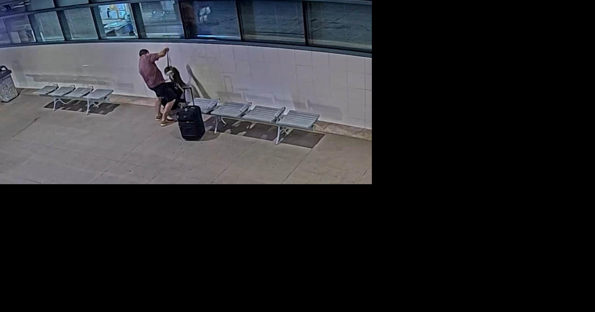 Bedford man faces animal cruelty charges in Florida after Sarasota airport incident