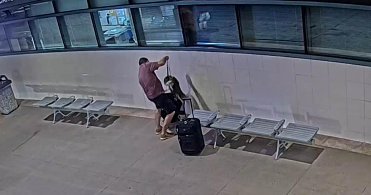 Bedford man faces animal cruelty charges in Florida after Sarasota airport incident
