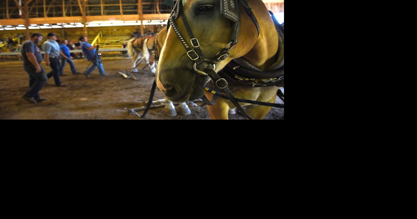 Hopkinton State Fair