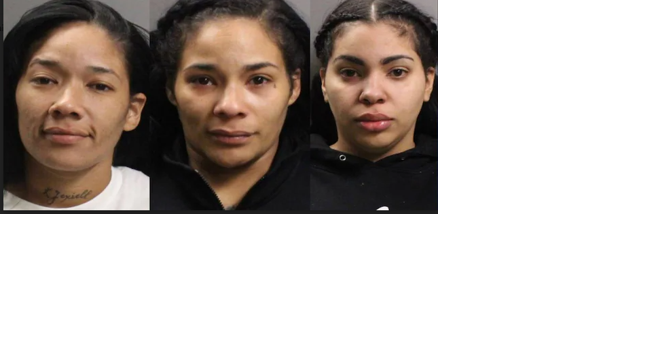 Manchester women accused of assaulting Macy's employee while trying to steal | Crime - Vimarsana News