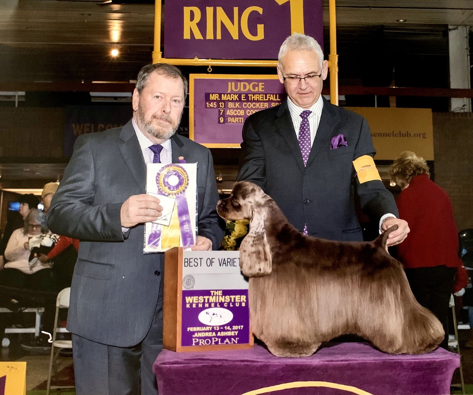 Dog sales show judges