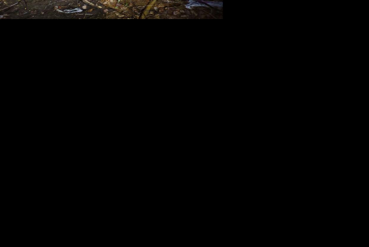 Hooksett man seriously injured after being ejected as car rolls over