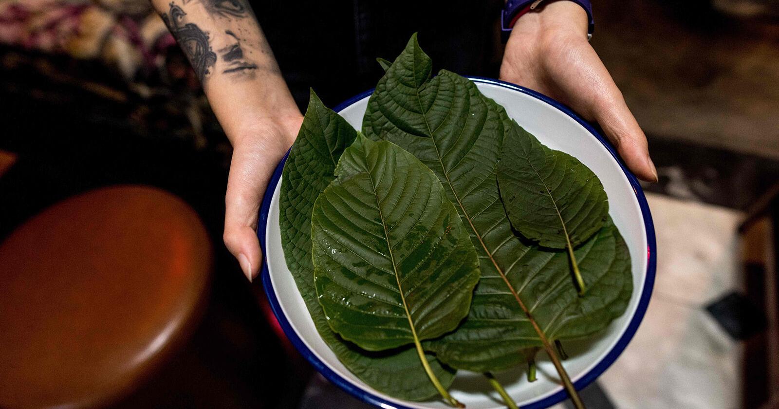 An opioid-like drink is masquerading as a wholesome alcohol alternative - Vimarsana News