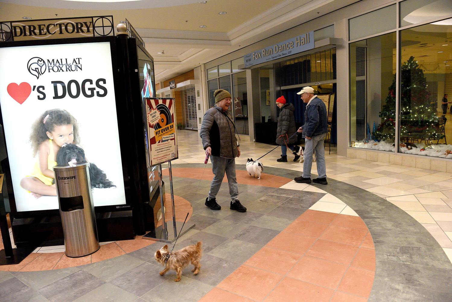 Last Christmas shopping hurrah for Fox Run Mall Business
