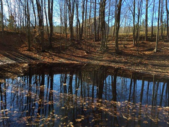 Officially historic: School houses burying grounds and a remnant of NH