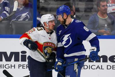 Commentary: Panthers? Bad guys? Come on, they’re just that good.