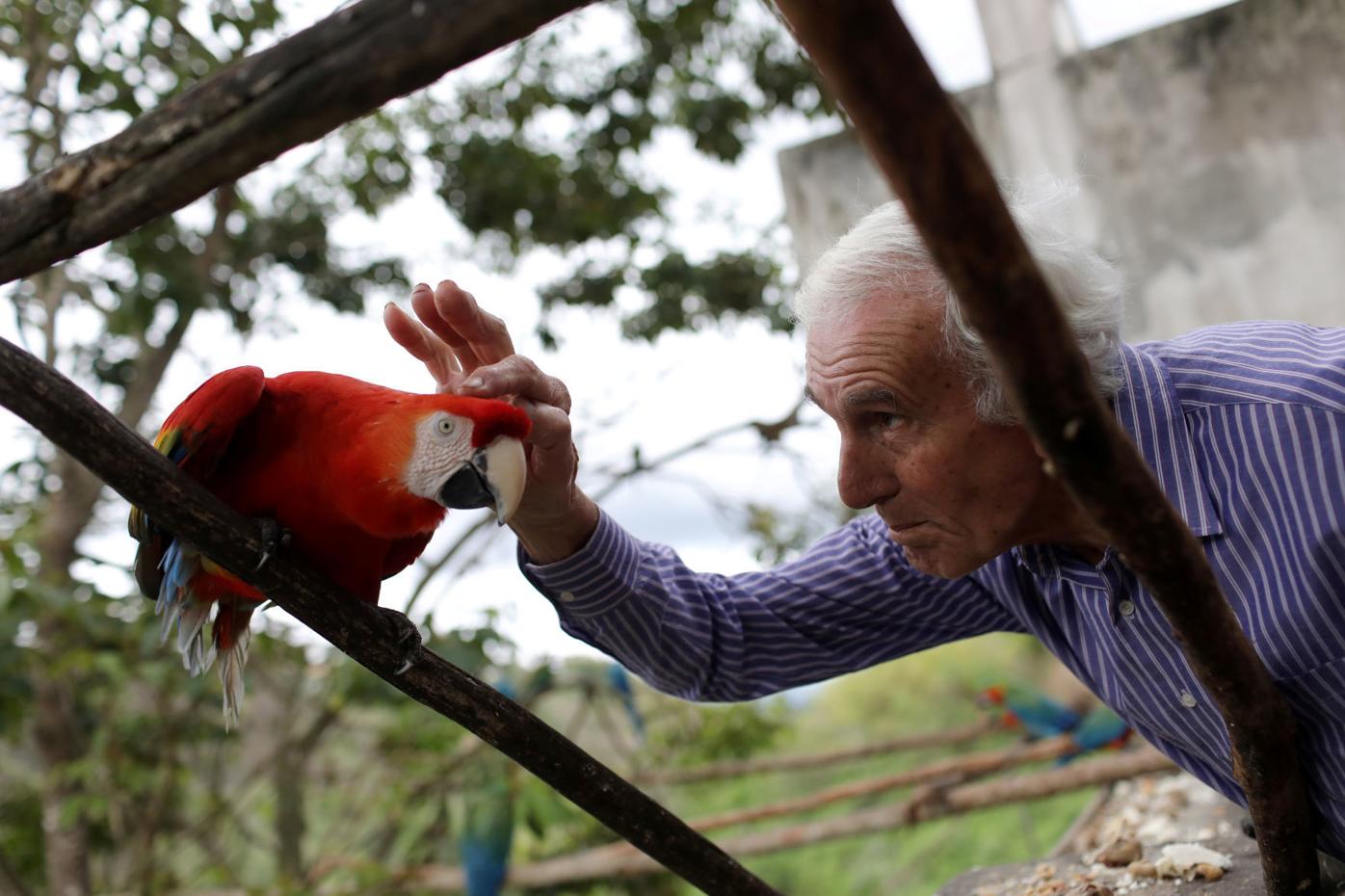 Vittorio Poggi caresses a macaw's head at his house near Caracas | Animals  
