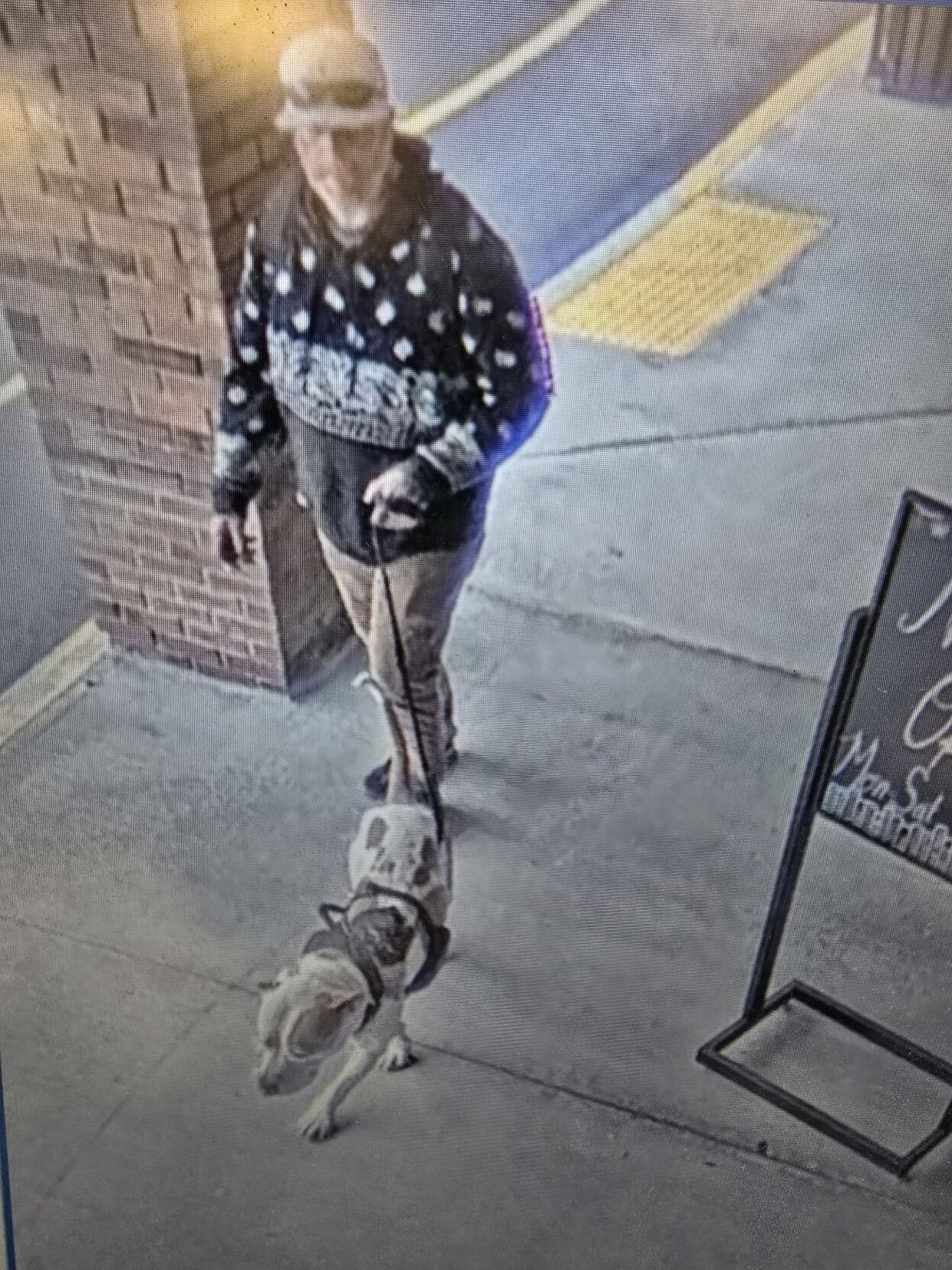 Police seeking owner of Injured dog left chained to a pole in Lebanon ...
