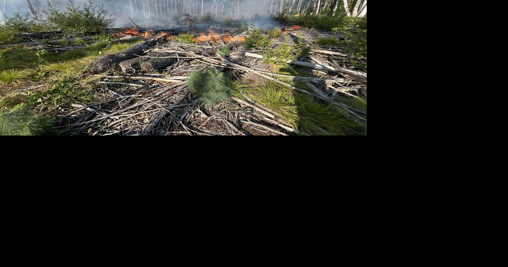 Despite recent rain and snow, drought and wildfire concerns remain