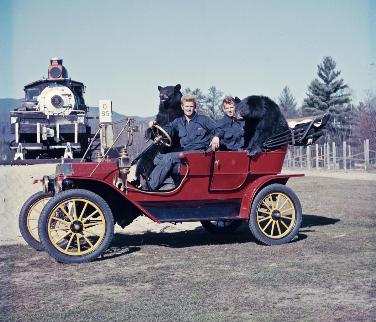 Clark's Bears The side shows may change, but the bears remain Travel