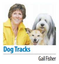 Gail Fisher’s Canine Tracks: Do your homework when getting a canine | Columns