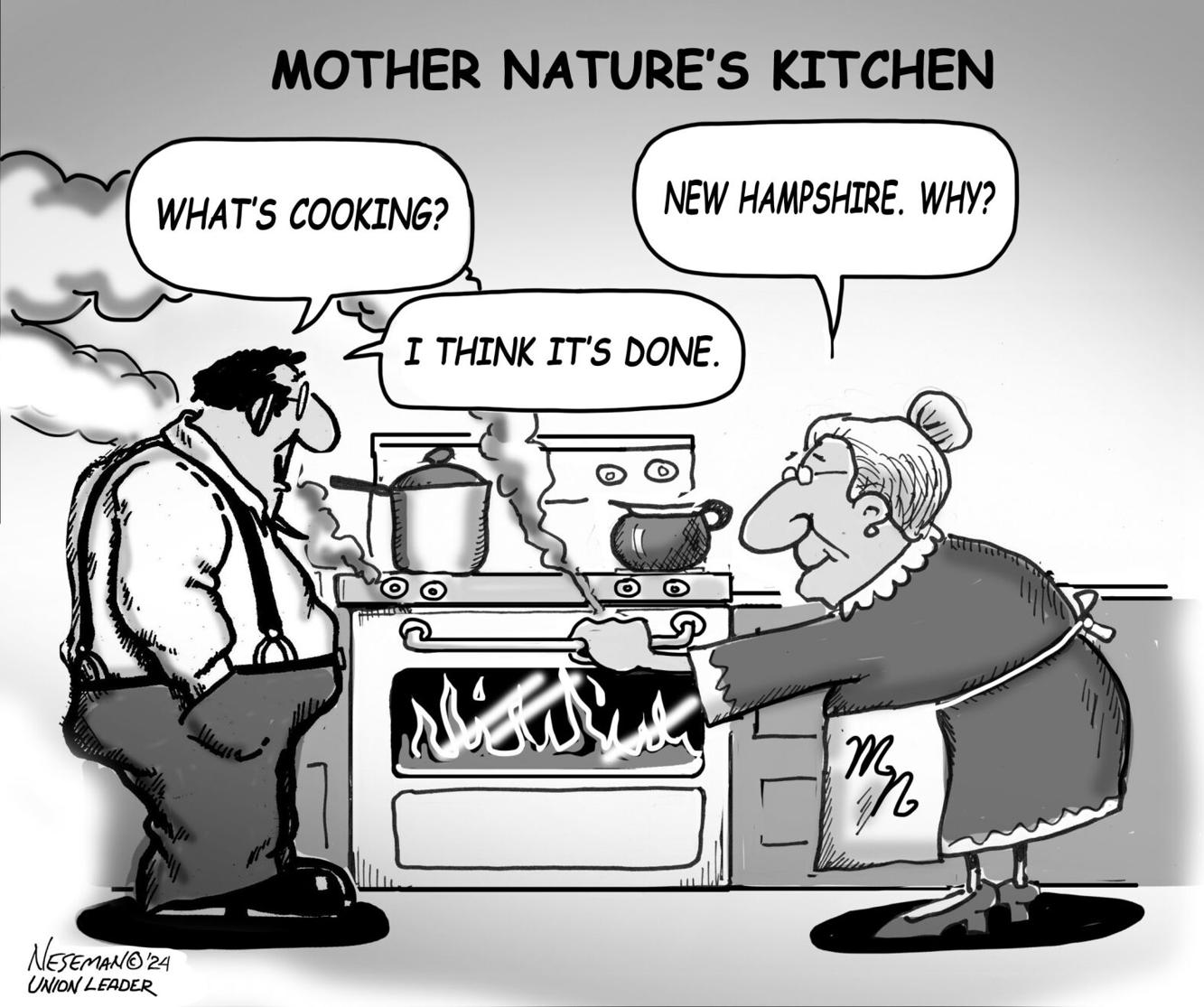Editorial Cartoon: Dale Neseman | Cartoons | unionleader.com