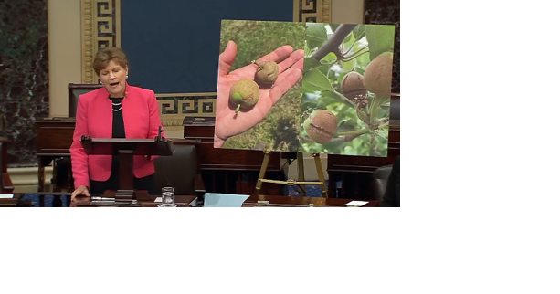 Shaheen goes to bat for NH farmers hit hard by weather - Vimarsana News