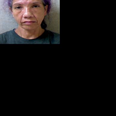 Hudson woman cjarged after dog, puppies found in squalor