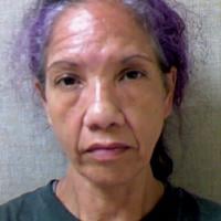 Hudson woman cjarged after dog, puppies found in squalor