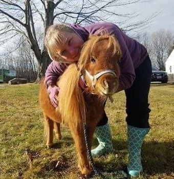 Buddy The Mini Horse Welcomes A New Season At Candia Farmstand