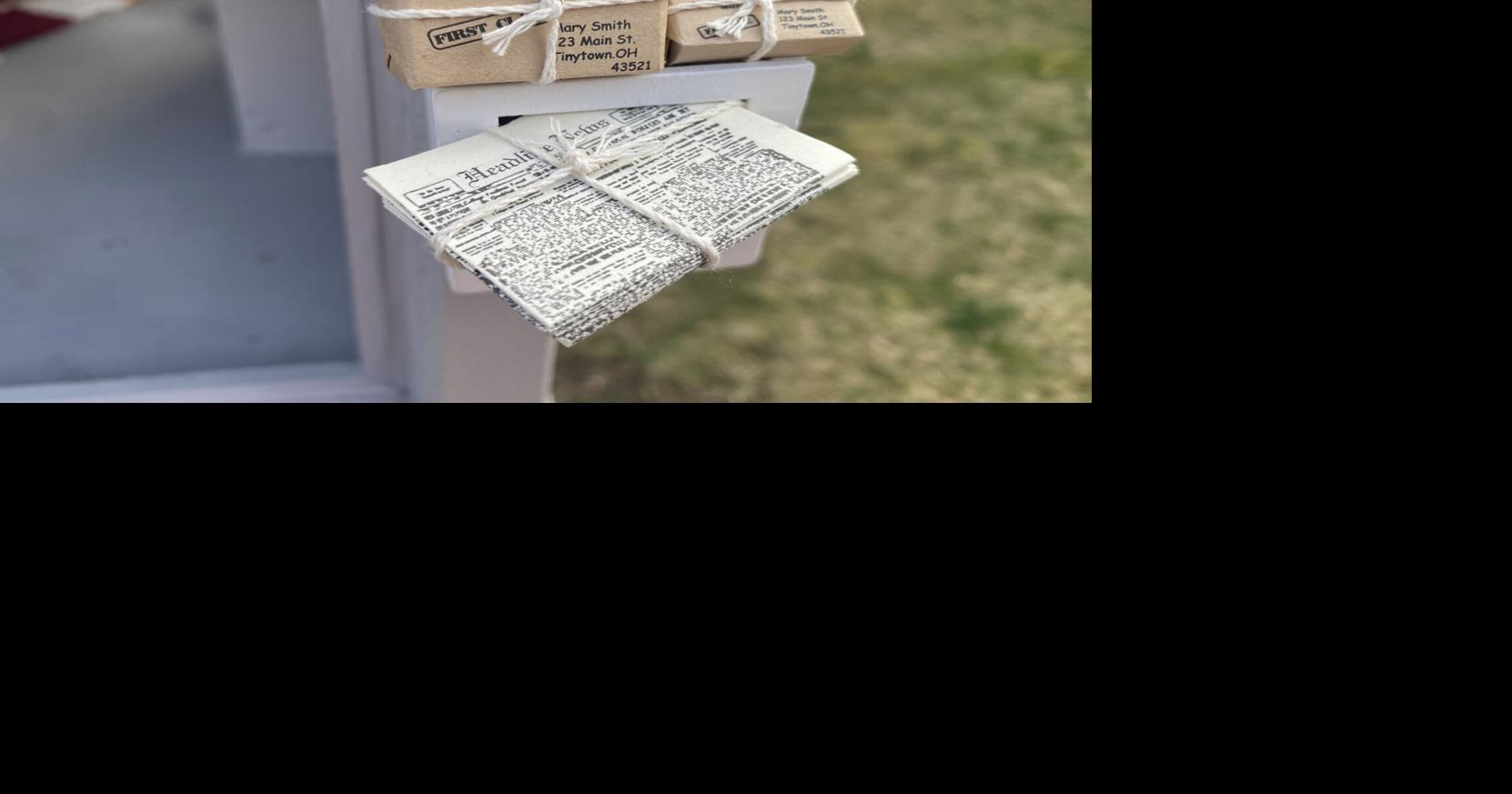 Tiny dolls appeared in mailbox with a note 'We've decided to live here' Back Page