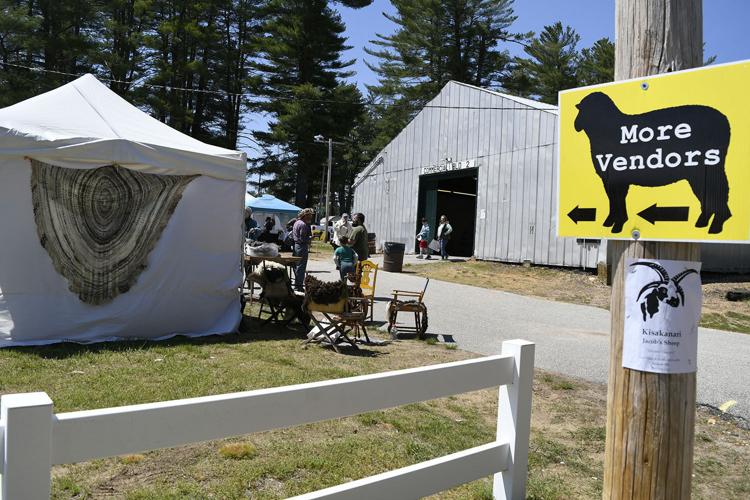 NH Sheep and Wool Festival in Deerfield Human Interest