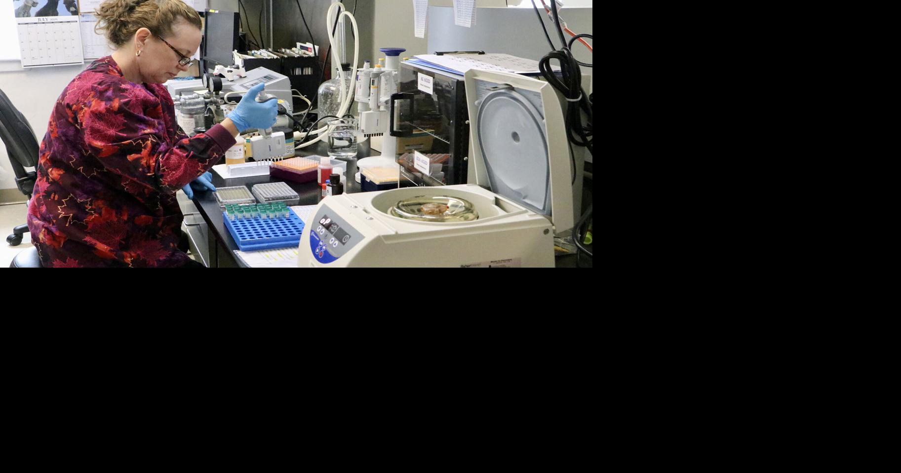 UNH scientists track clues to mysterious illness sickening pet dogs | Animals