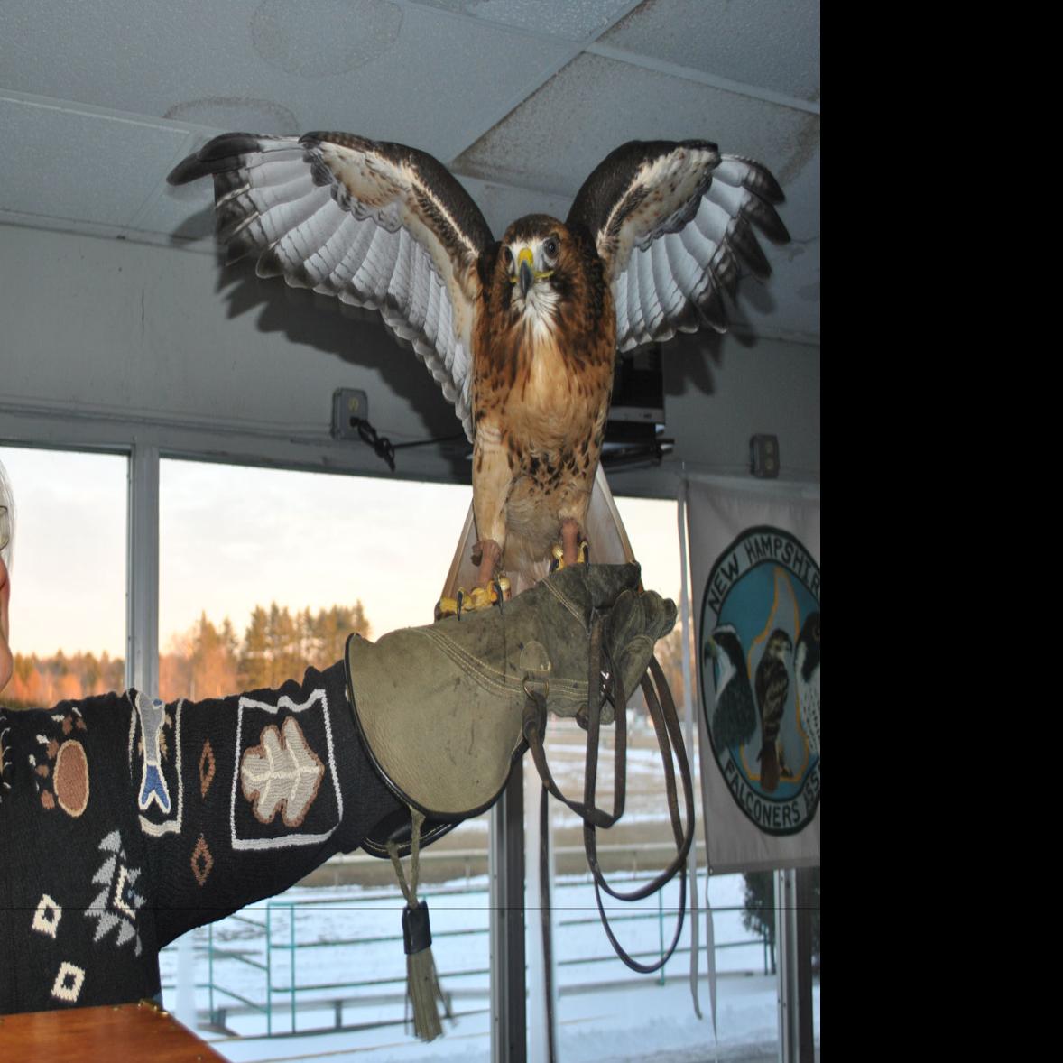 The Best Black Friday \u0026 Cyber Monday Deals Still Available | Reviews by  Wirecutter, image size:1200x1200