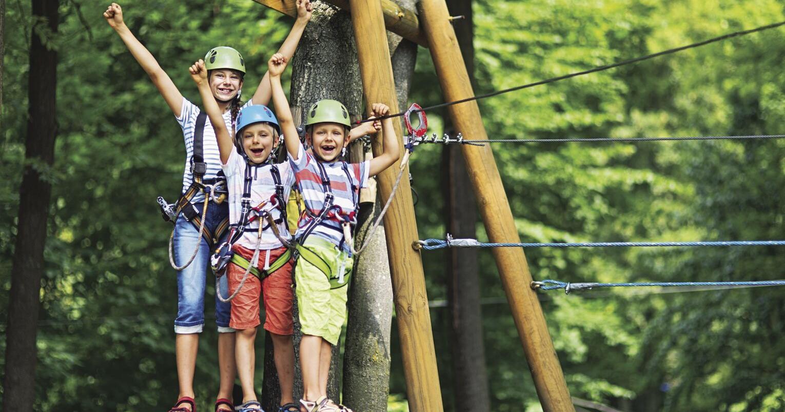 Who could use some sun, a barbecue and a zipline right about now? - Vimarsana News