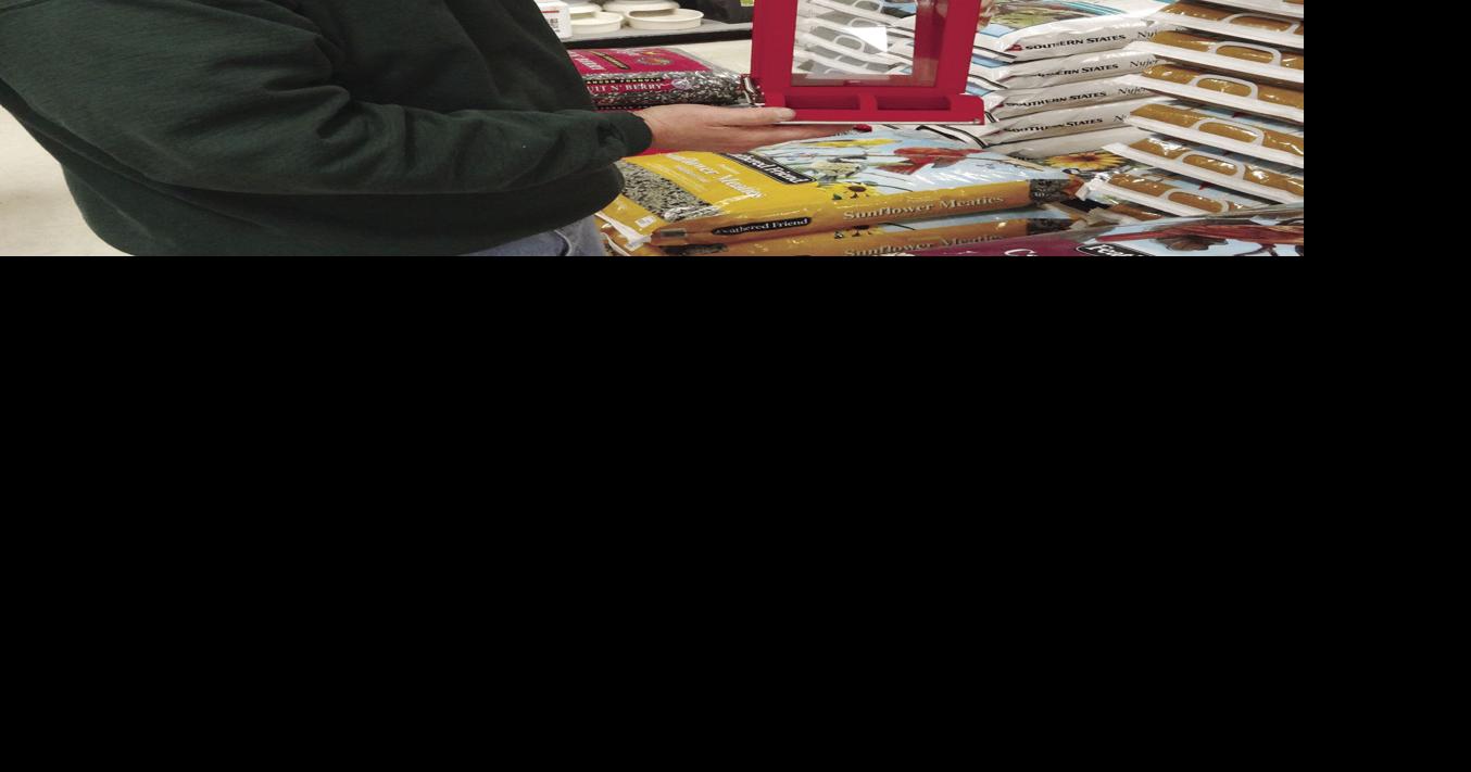 Birds by the numbers in New Hampshire Audubon Society's annual Backyard