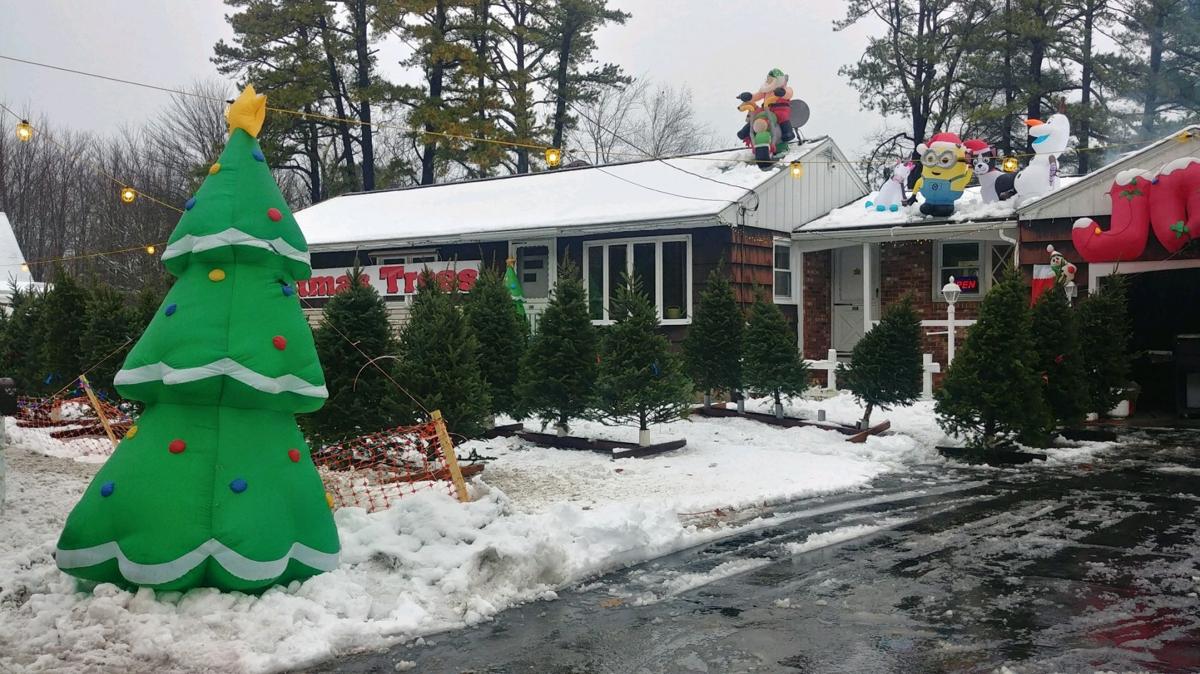 Caught On Video Christmas Trees Stolen From Rochester Man S Yard Crime Unionleader Com