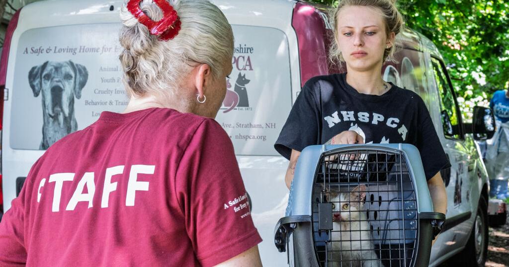 Hooksett Police transfer more than 30 pets to shelters from 'uninhabitable' residence