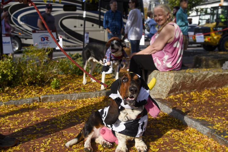 Goffstown Pumpkin Regatta Human Interest