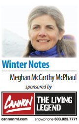 Meghan McCarthy McPhaul's Winter Notes sig